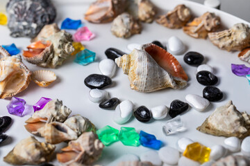 Bright background of their colored stones and seashells.