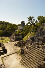 Fototapeta na wymiar The old Mayan ruins of Tikal in the jungle of Guatemala, Central America