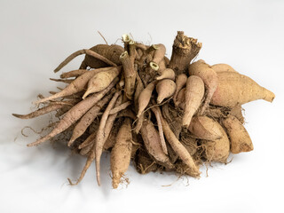 ダリア　掘り上げ　分球