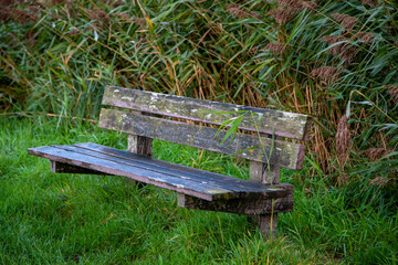 Naklejka premium alte Holzbank