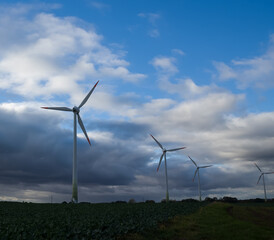 Landscape with electricity windmills