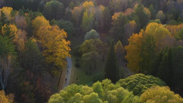 People walk in the Park on a warm autumn day. The wind stirs the trees. Shooting from a height above the Park