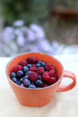 Cup with raspberries and blueberries in a garden. Selective focus.