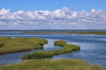 The silence of the Wadden Sea