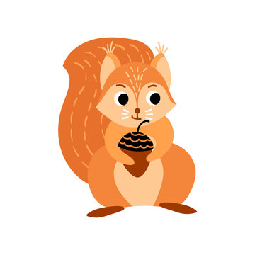 Cute cartoon squirrel with acorn. Funny woodland animal isolated on white background. Vector illustration.