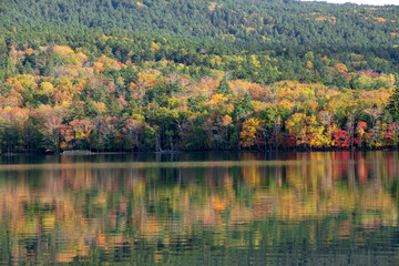 北海道の秋の風景　オンネトーの紅葉