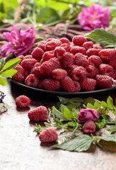 Summer still life with, raspberries, flowers and meadow grasses.