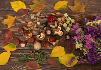Autumn forest fruit background. Acorns on tree bark and autumn colourful leaves with copyspace.

