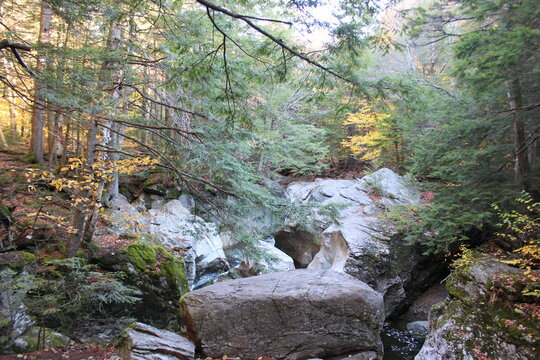 stream in the forest