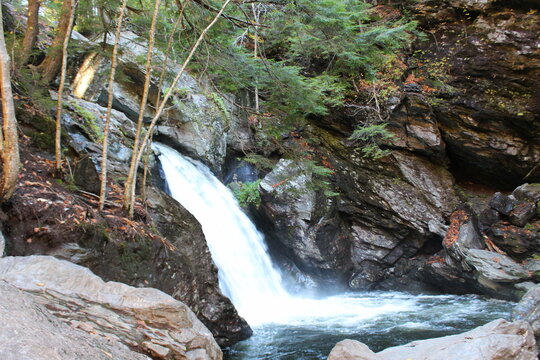 waterfall in the forest