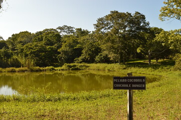 The stunning ancient Mayan Temple city of Tikal in the jungles of Guatemala, Central America