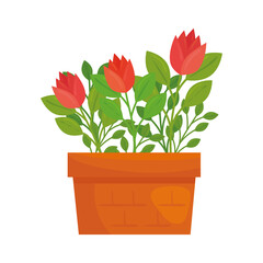flowers inside pot design of Floral nature garden ornament botany decoration beauty and flora theme Vector illustration