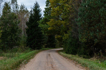 Dirt road next to forest. Pathway.