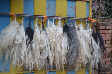 Hindu ritual equipments called 'chamar' hanging on a wall