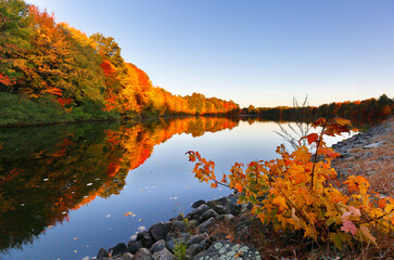 Beautiful New England Fall Foliage with reflections before sunrise, Boston Massachusetts.