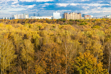 lush urban park and and apartment houses on horizon lit by autumn afternoon sun in Moscow city