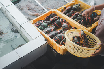 Fresh of sea crabs wrapped with twine for sale