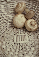 a handful of mushrooms on the background of a wicker white basket