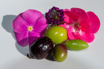 Aceitunas y flores