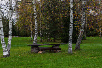 Camping spot next to forest.