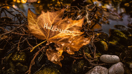 Love Halloween in a leaf