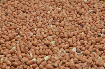 Peeled Peanuts on Isolated White Background