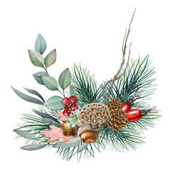 Winter floral natural arrangement watercolor illustration. Hand drawn rustic decor with pine, eucalyptus leaves, acorn, cowberry and rosehip berries. Seasonal natural decoration on white background