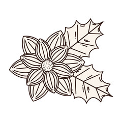 merry christmas flower with leaves design, winter season and decoration theme Vector illustration