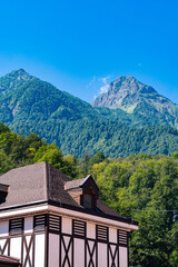 Fototapeta na wymiar European house on the background of green mountains