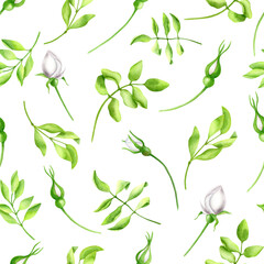 Watercolor white roses with leaves seamless pattern. Hand painted Iceberg rose flowers and greenery isolated on white background. Spring, summer floral design for decoration, invitations, print