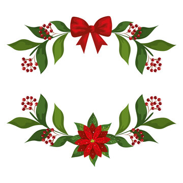 merry christmas flower and bowtie with leaves and berries design, winter season and decoration theme Vector illustration