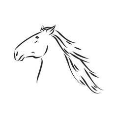 Obraz na płótnie Canvas horse vector illustration - black and white outline. beautiful horse, horse icon, vector sketch illustration, the horse is beautiful, vector sketch illustration