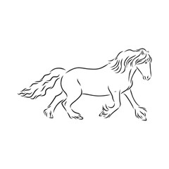 horse vector illustration - black and white outline. beautiful horse, horse icon, vector sketch illustration, the horse is beautiful, vector sketch illustration