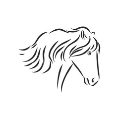 horse vector illustration - black and white outline. beautiful horse, horse icon, vector sketch illustration, the horse is beautiful, vector sketch illustration