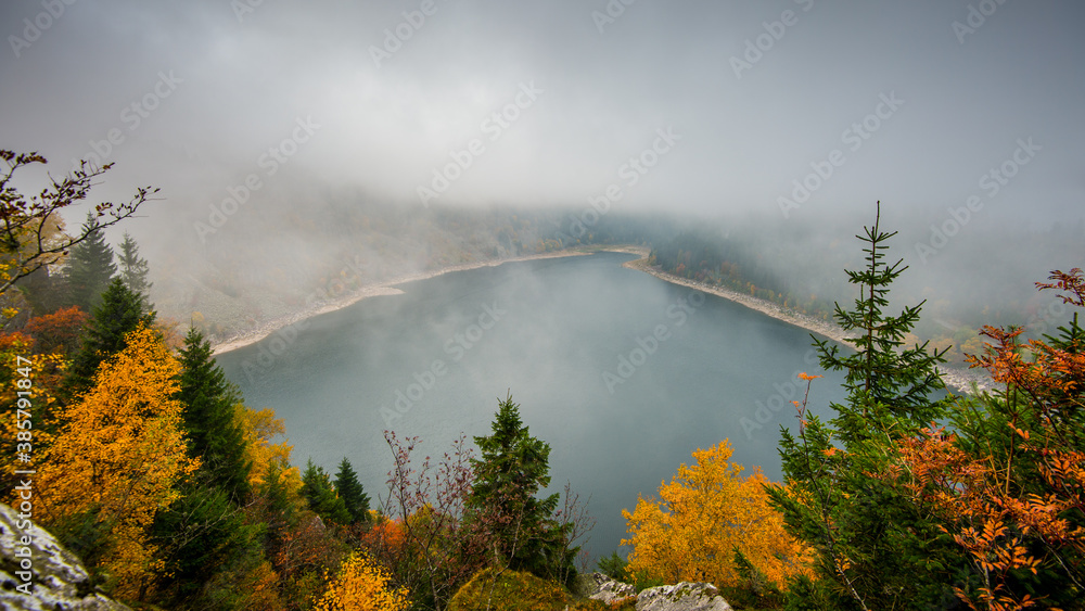 Wall mural fog on the 