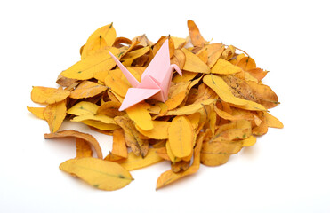 A pink origami bird and fall leaves