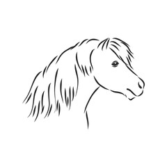 Naklejka na ściany i meble Vector hand drawing pony isolated on white background, pony horse, vector sketch illustration