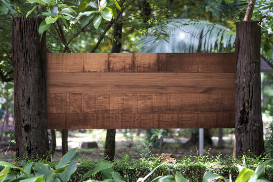 Blank wooden sign in the forest with copy space concept.