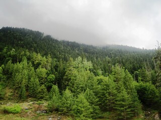 Obraz premium nature,travel,hills,peace,tranquility