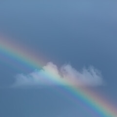 Naklejka na ściany i meble rainbow in the sky