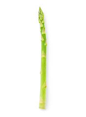 Single asparagus isolated on white background
