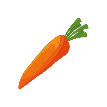 carrot vegetable icon design, organic food healthy fresh natural and market theme Vector illustration