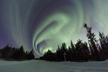 Aurora borealis 