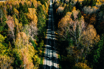 Aerial view of road in autumn forest.