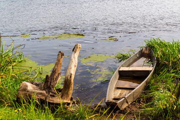 Wędrówka doliną Narwi, Podlasie, Polska © podlaski49
