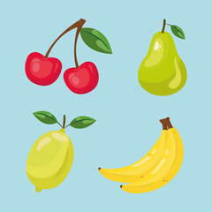 cherries pear lemon and banana fruit design, healthy organic food theme Vector illustration