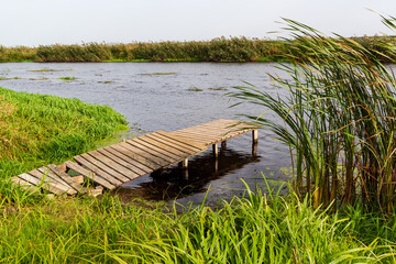 Wędrówka doliną Narwi, Podlasie, Polska