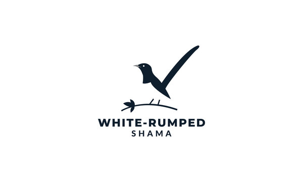 bird  White rumped shama vector silhouette