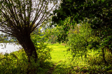 Wędrówka doliną Narwi, Podlasie, Polska © podlaski49