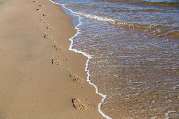 footprints on the beach